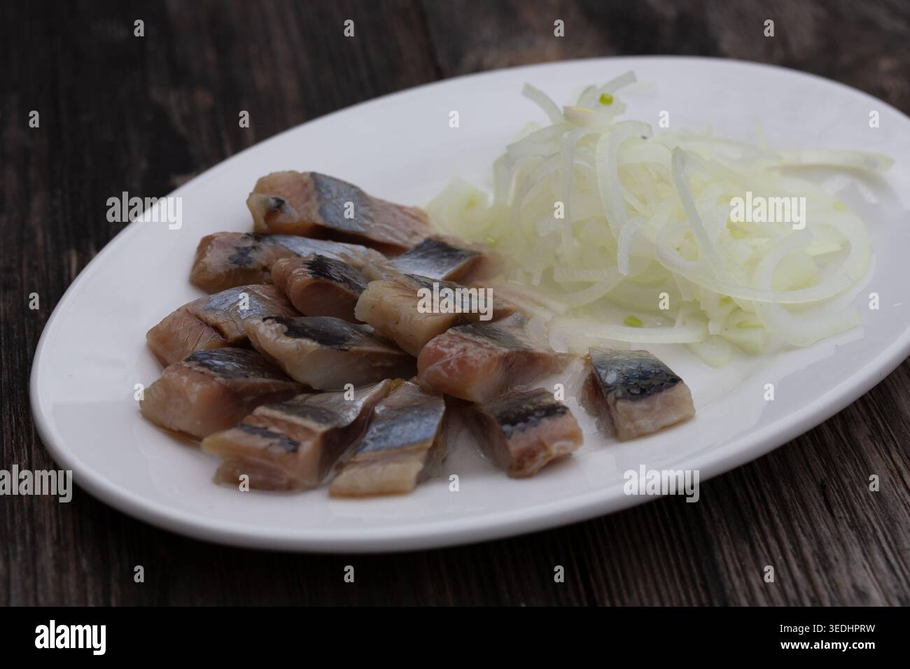 Fish herring on a plate with dill and bows, a surprise for the cat
