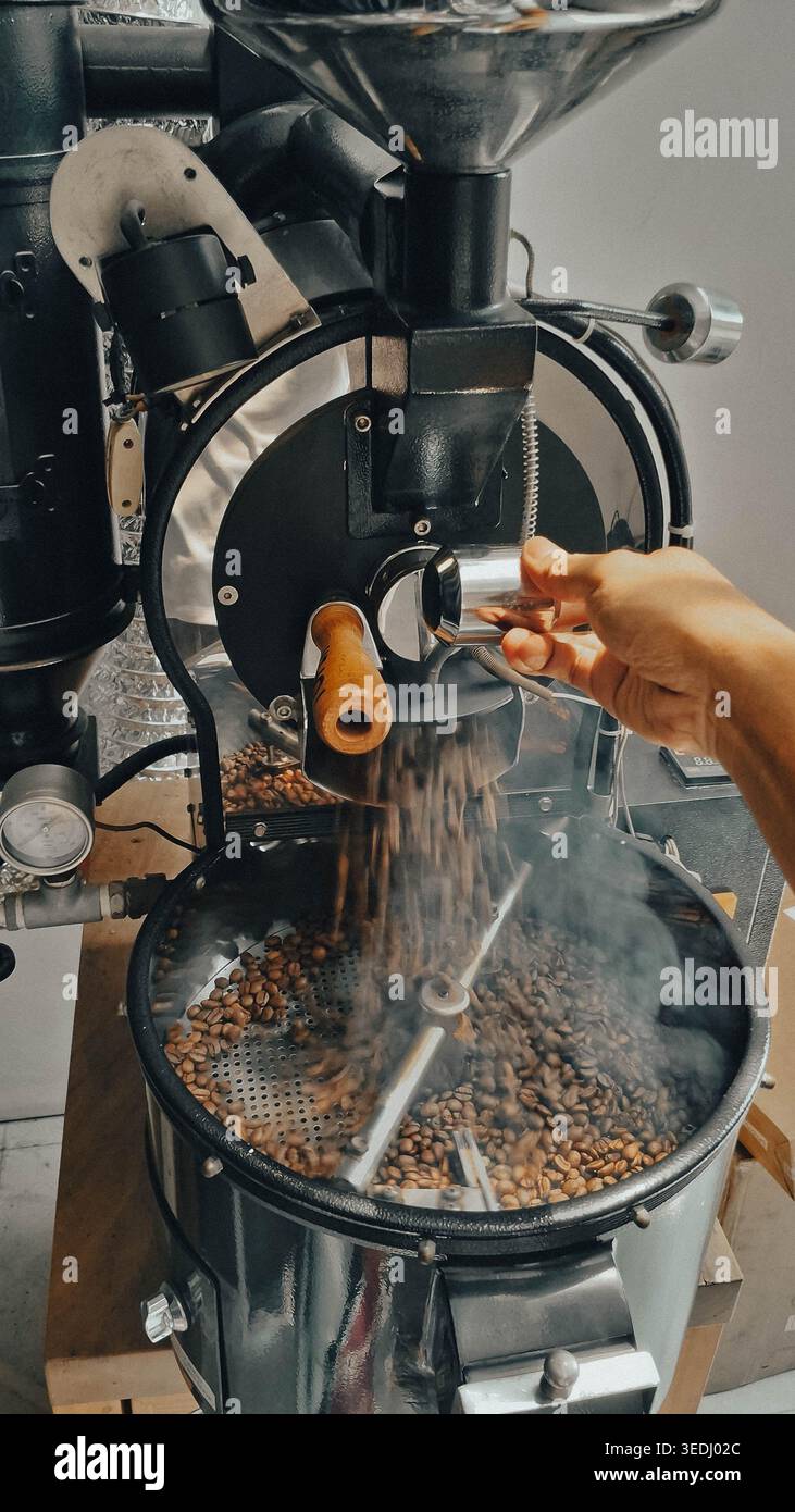 Coffee roasting process using 1 kg capacity manual drum coffee roasting machine, releasing smoking hot roasted coffee into cooling tray by hand Stock Photo