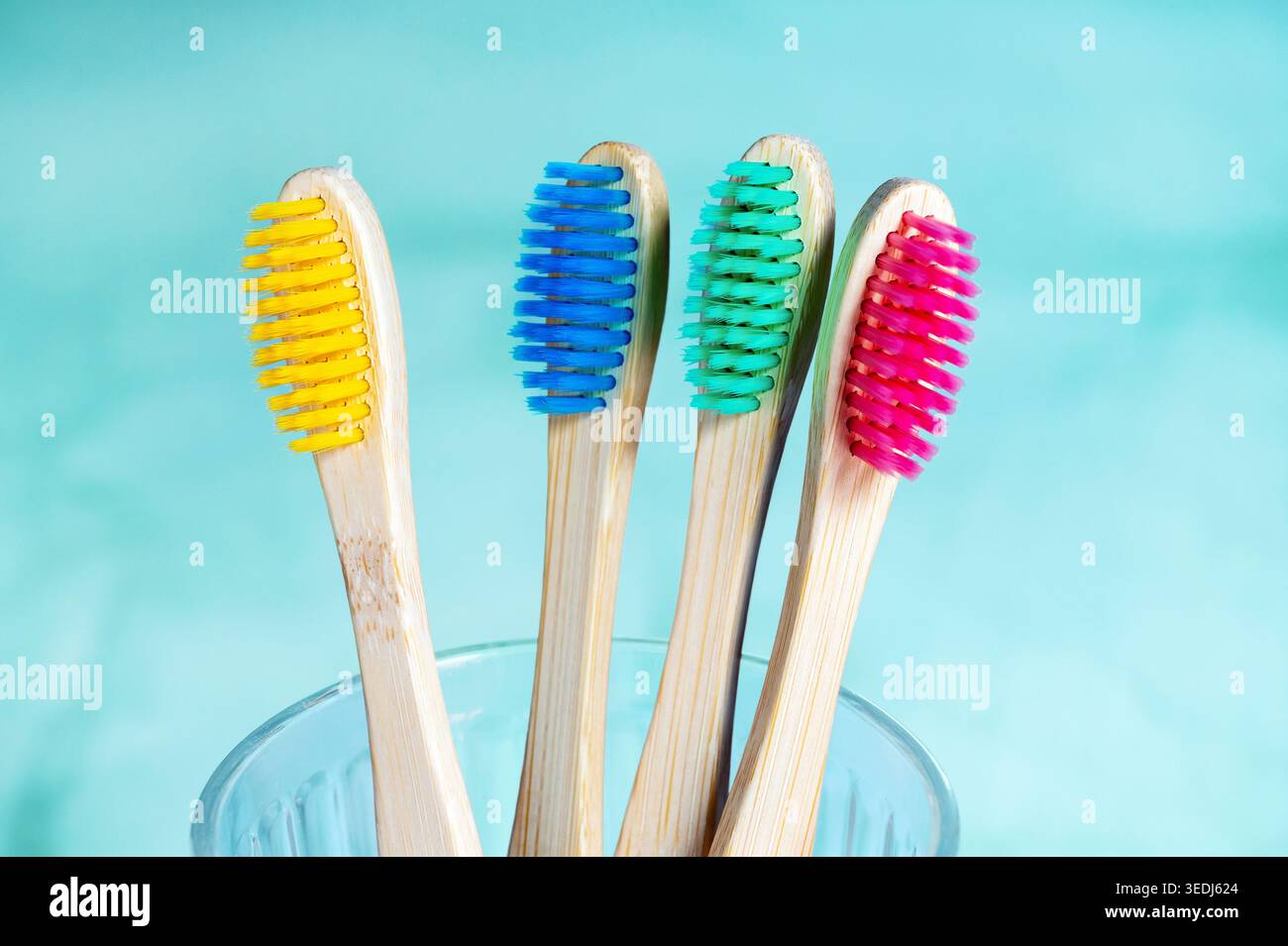 Four eco-friendly bamboo toothbrushes with colorful bristles in yellow, blue, green and pink, arranged in a clear glass against a turquoise background Stock Photo