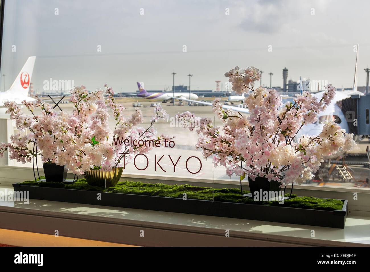 Tokyo japan april 2026 cherry hi-res stock photography and images - Alamy
