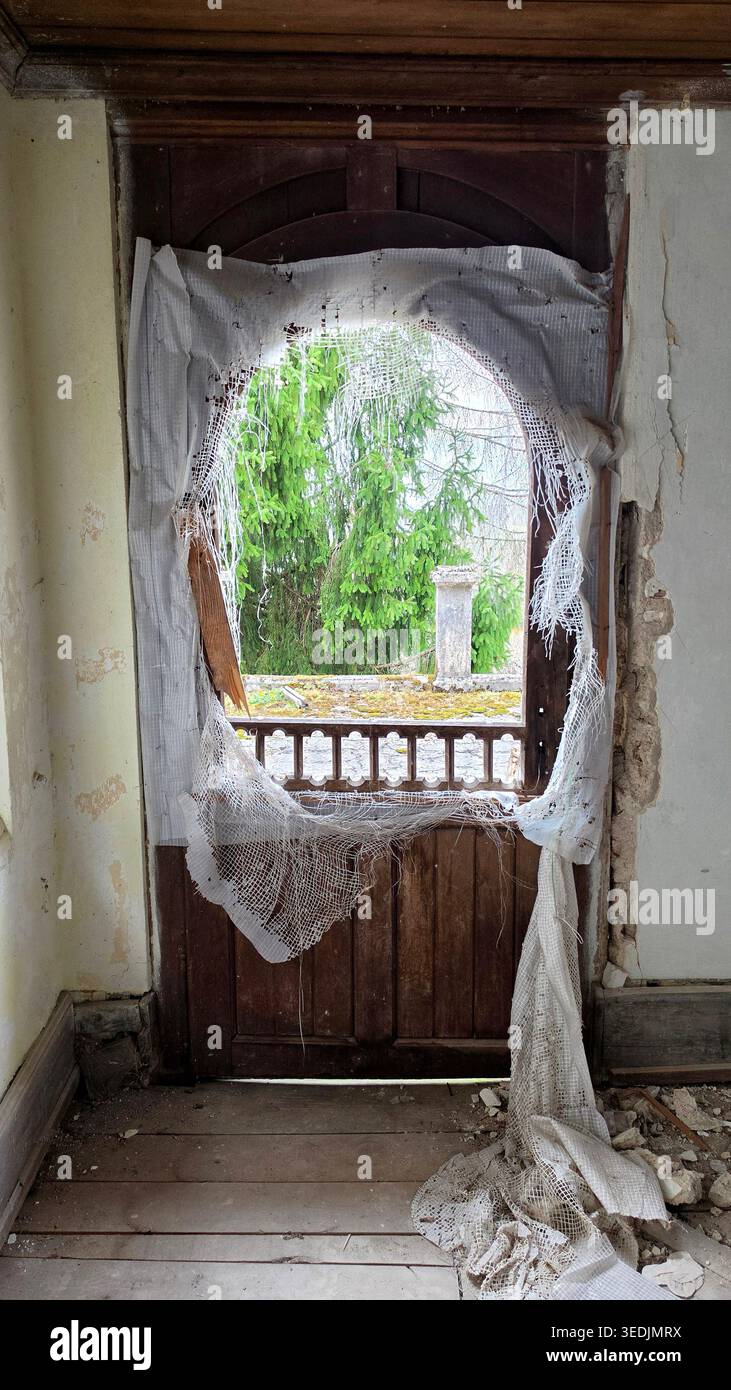 A dark room perspective looks through a torn white curtain and a shattered wooden door. The view reveals lush green evergreen trees and a stone pillar Stock Photo