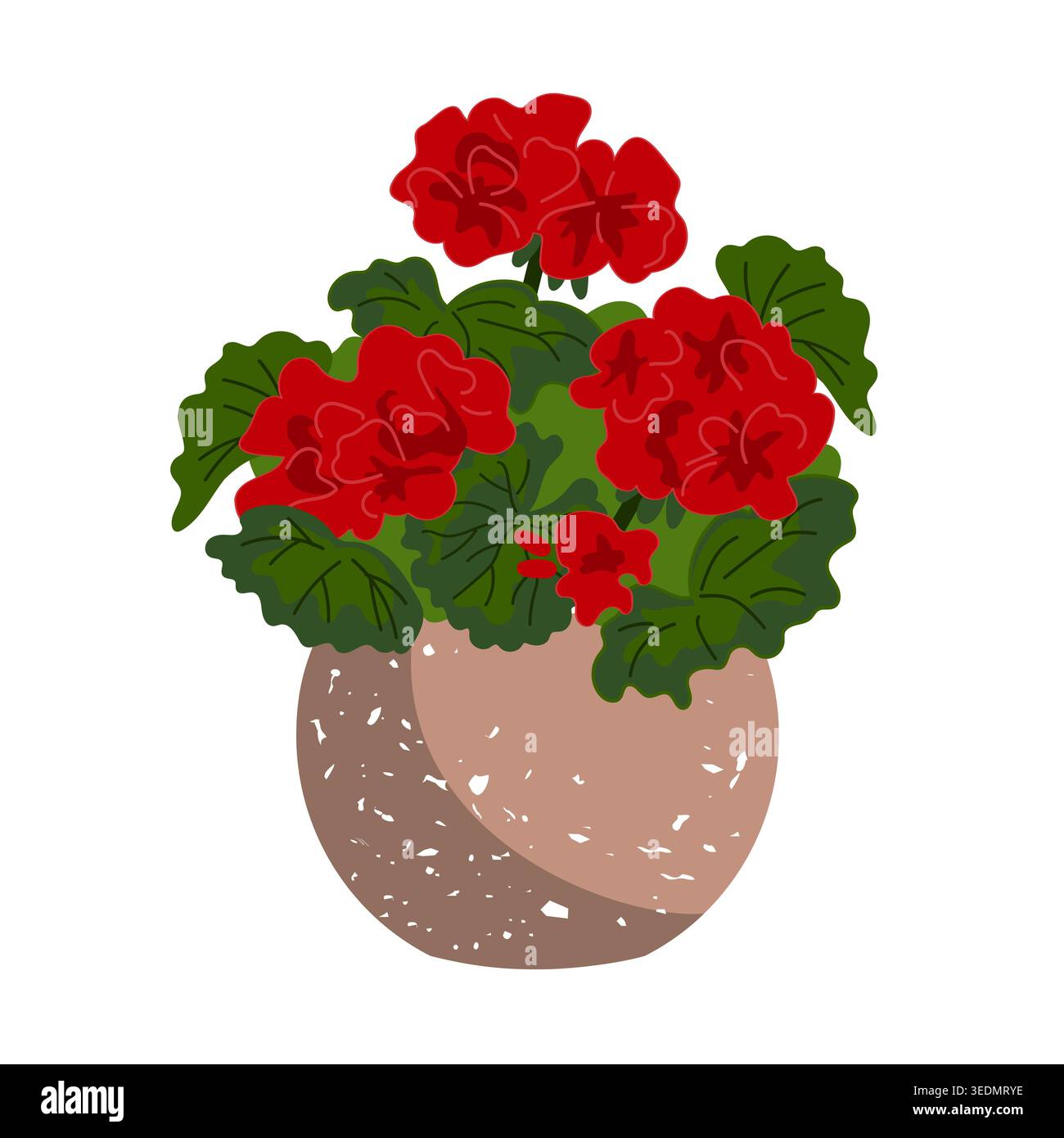 Potted Geranium flowers isolated on a white background. Vector illustration Stock Vector