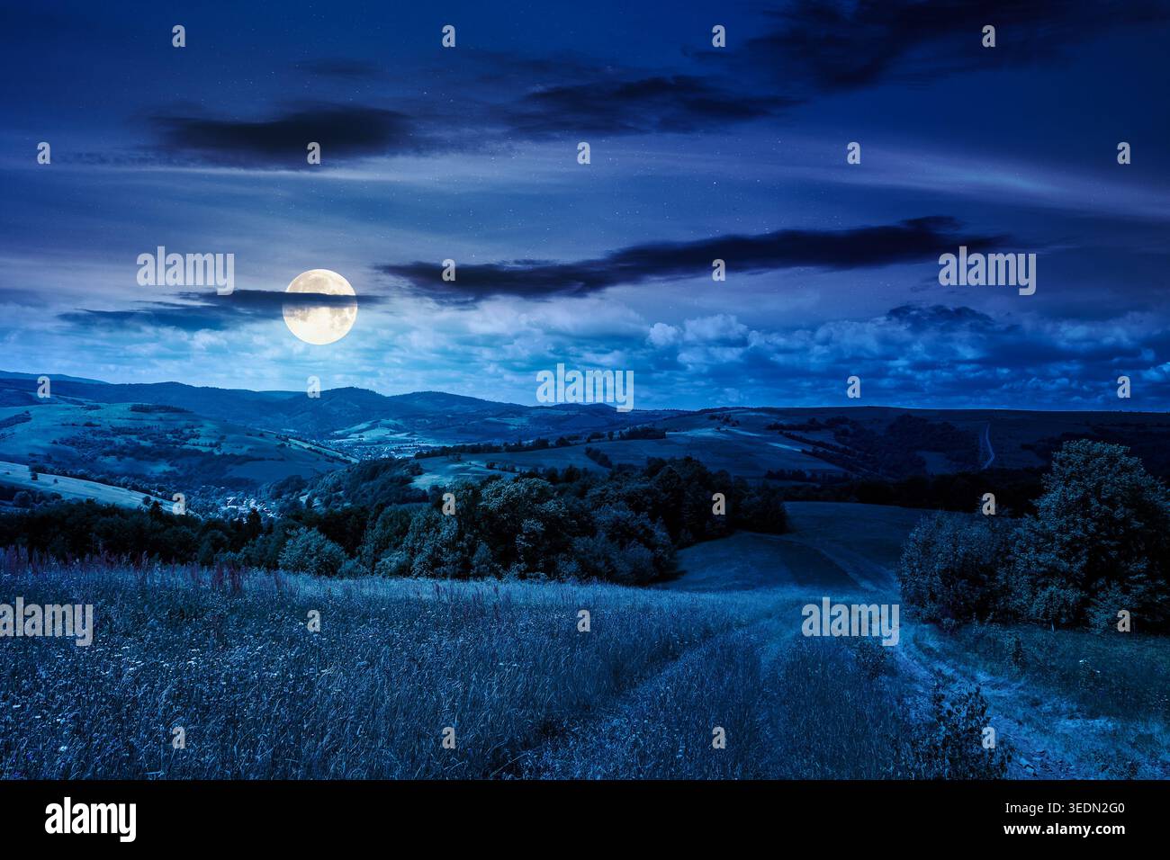 beautiful countryside of ukraine at night. mysterious view of summertime landscape in mountains. full moon over trail through the grassy field near fo Stock Photo