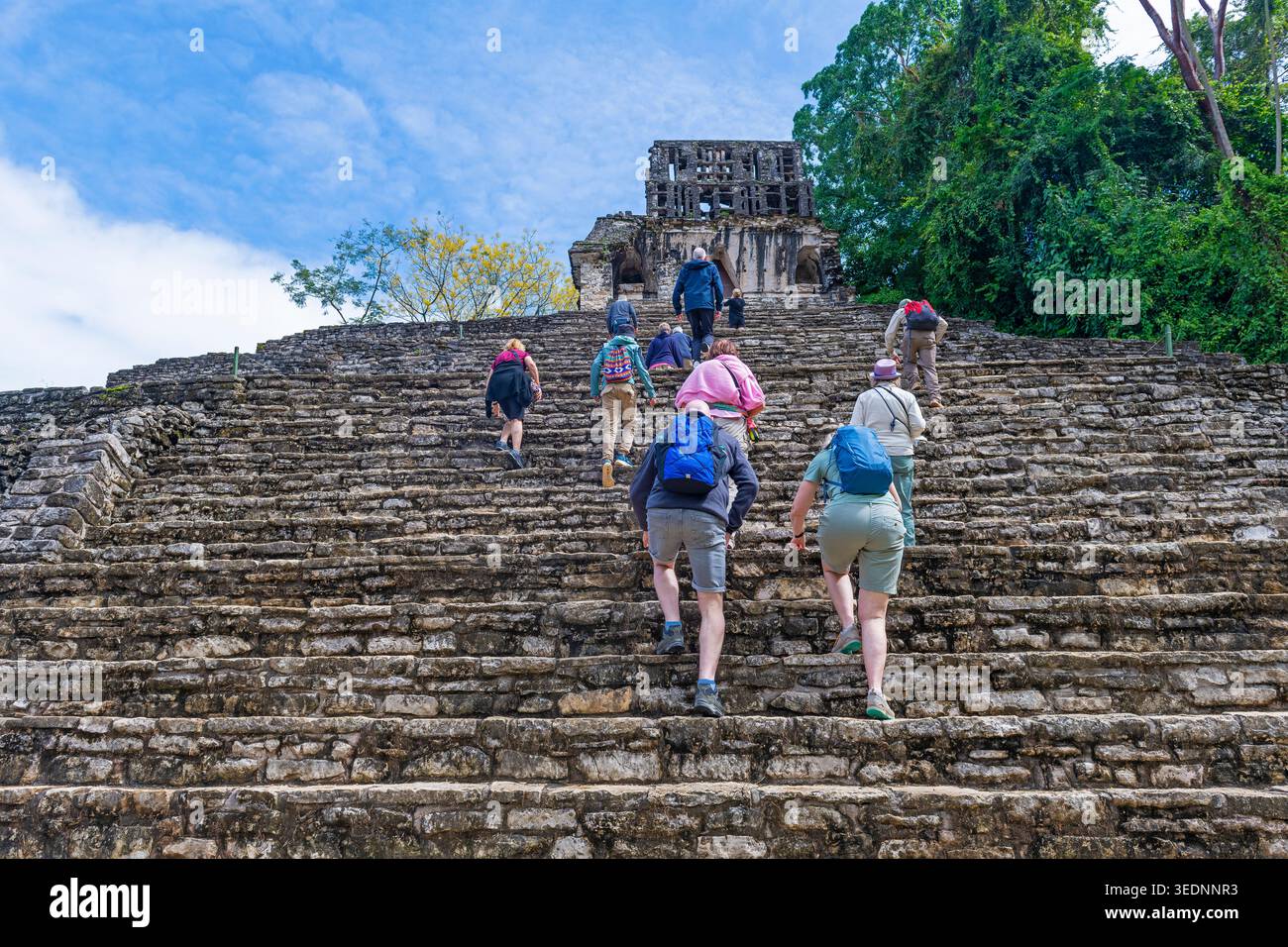 Tourists climbing the Temple of the Cross pyramid, Palenque, Chiapas, Mexico. Stock Photo