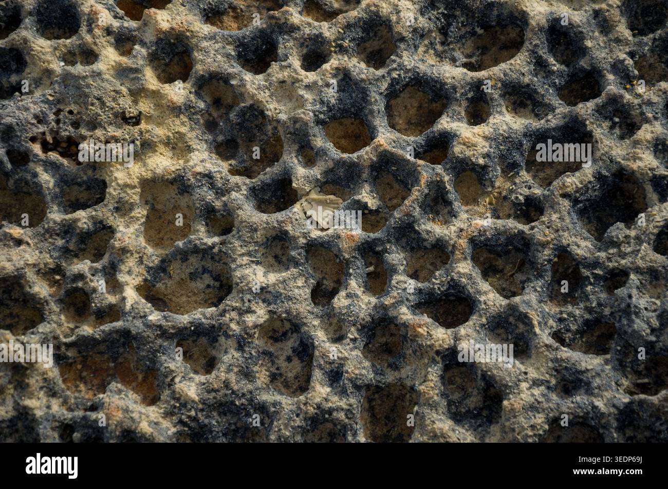 Close-Up of Weathered Limestone Texture Stock Photo