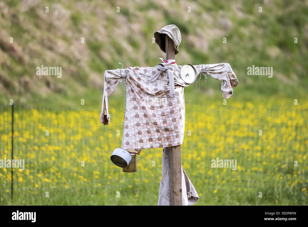 Spring scarecrow hi-res stock photography and images - Alamy