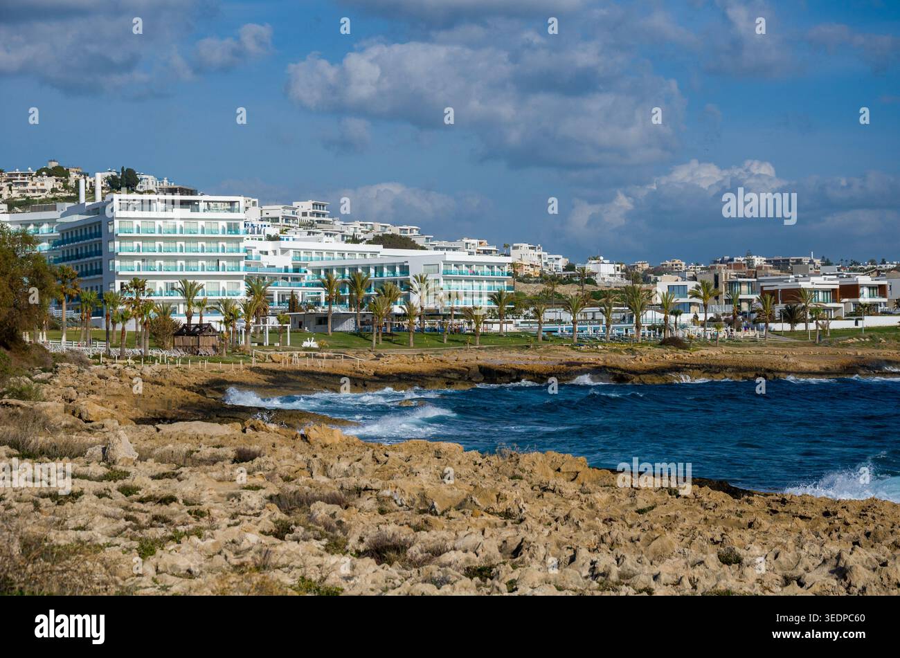 Palm trees modern buildings hi-res stock photography and images - Alamy
