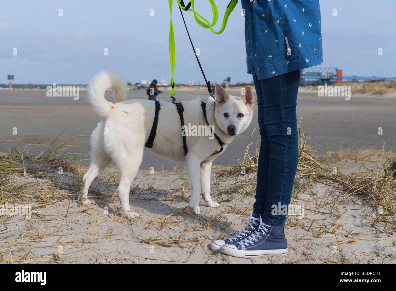 Animal welfare photography hi-res stock photography and images - Alamy