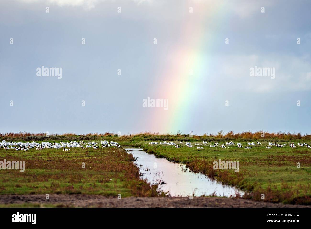 Rainbow over Sylt Stock Photo
