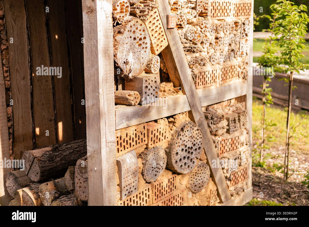 A structure made of wood and natural materials serves as a home for ...