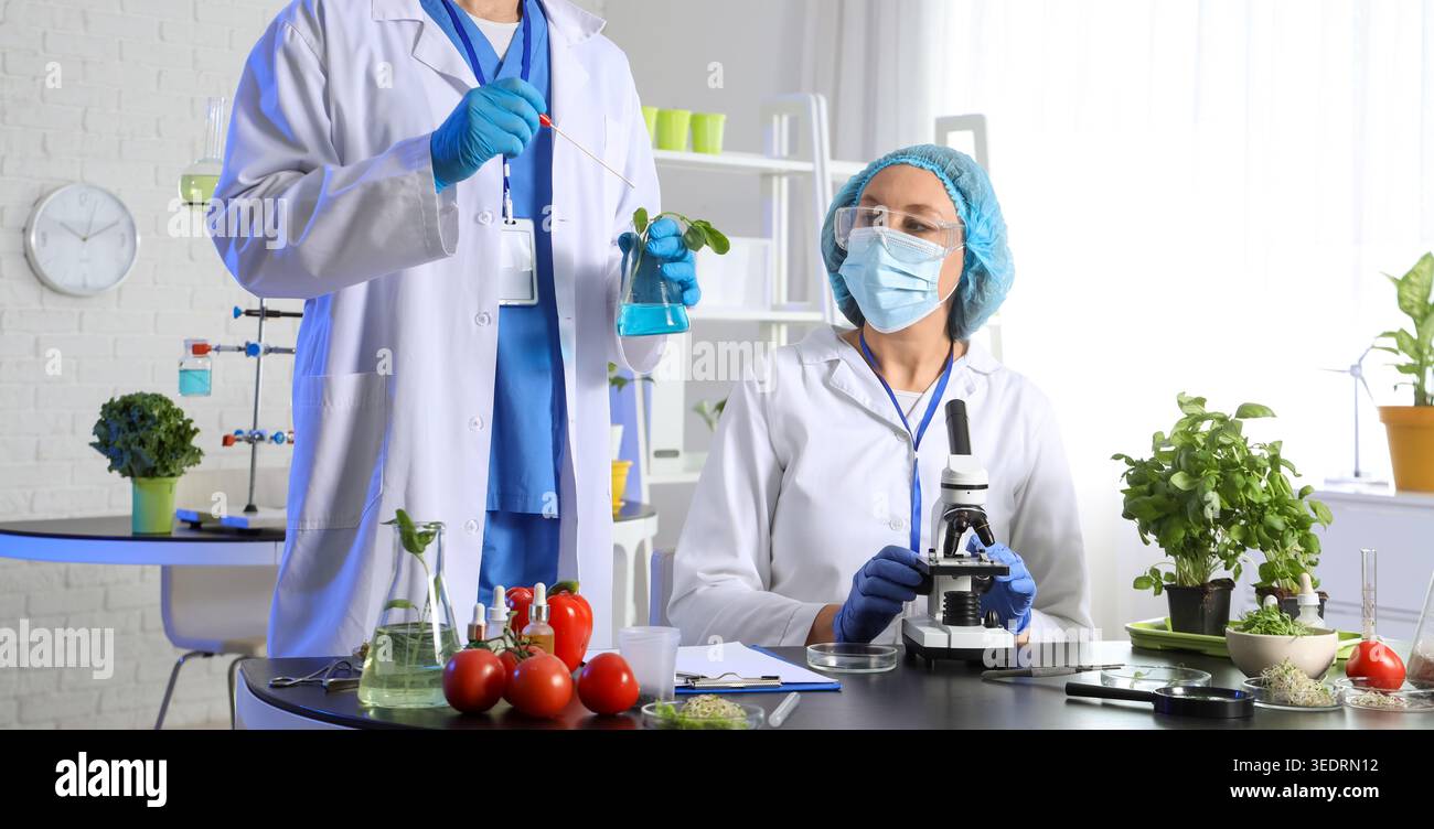 Agricultural engineers working with plant samples in laboratory Stock Photo