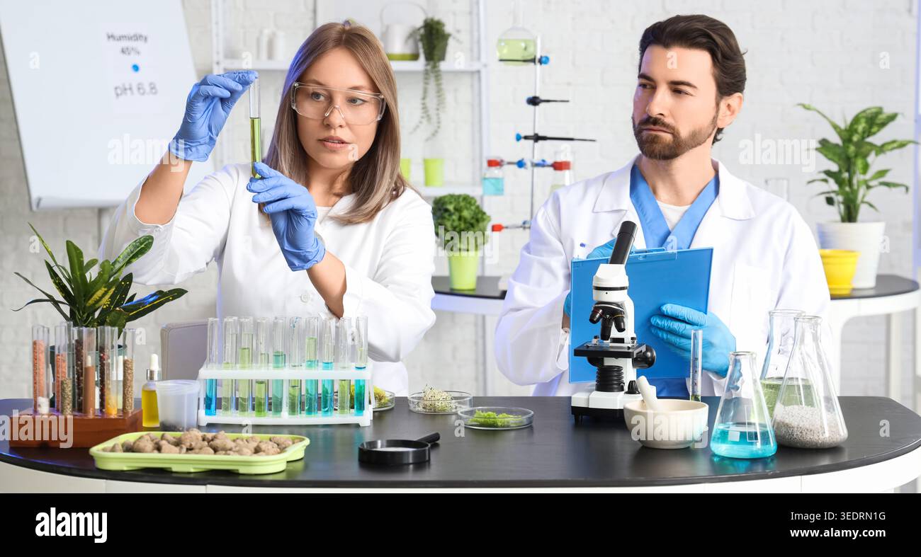 Agricultural engineers working with samples in laboratory Stock Photo