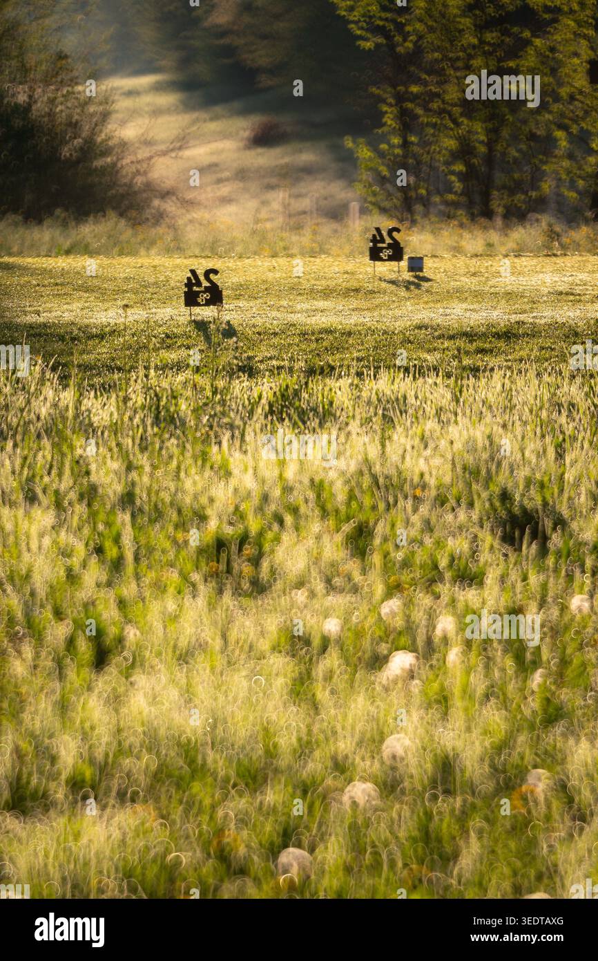 Golf course Stock Photo