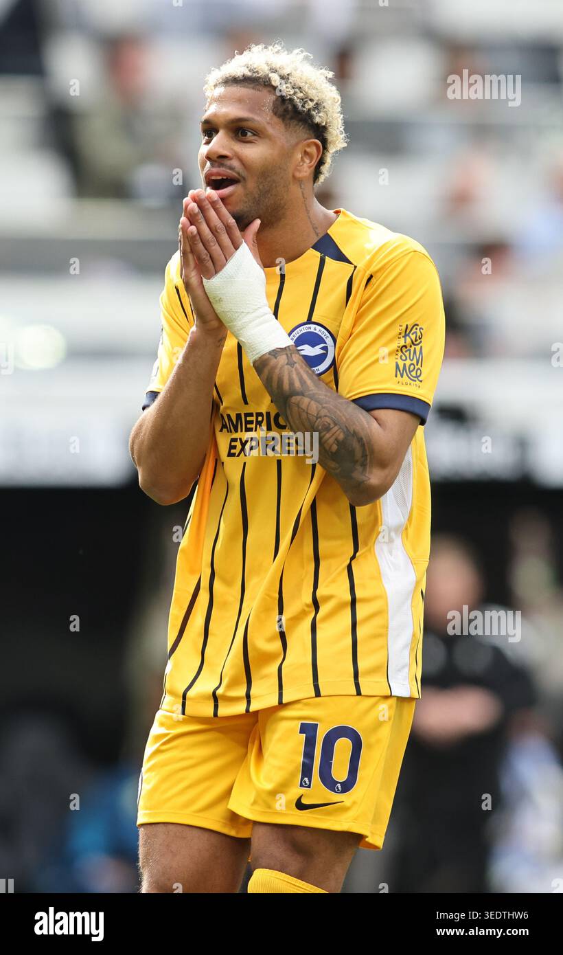 Georginio Rutter ,bh, during the Premier League match between Newcastle ...