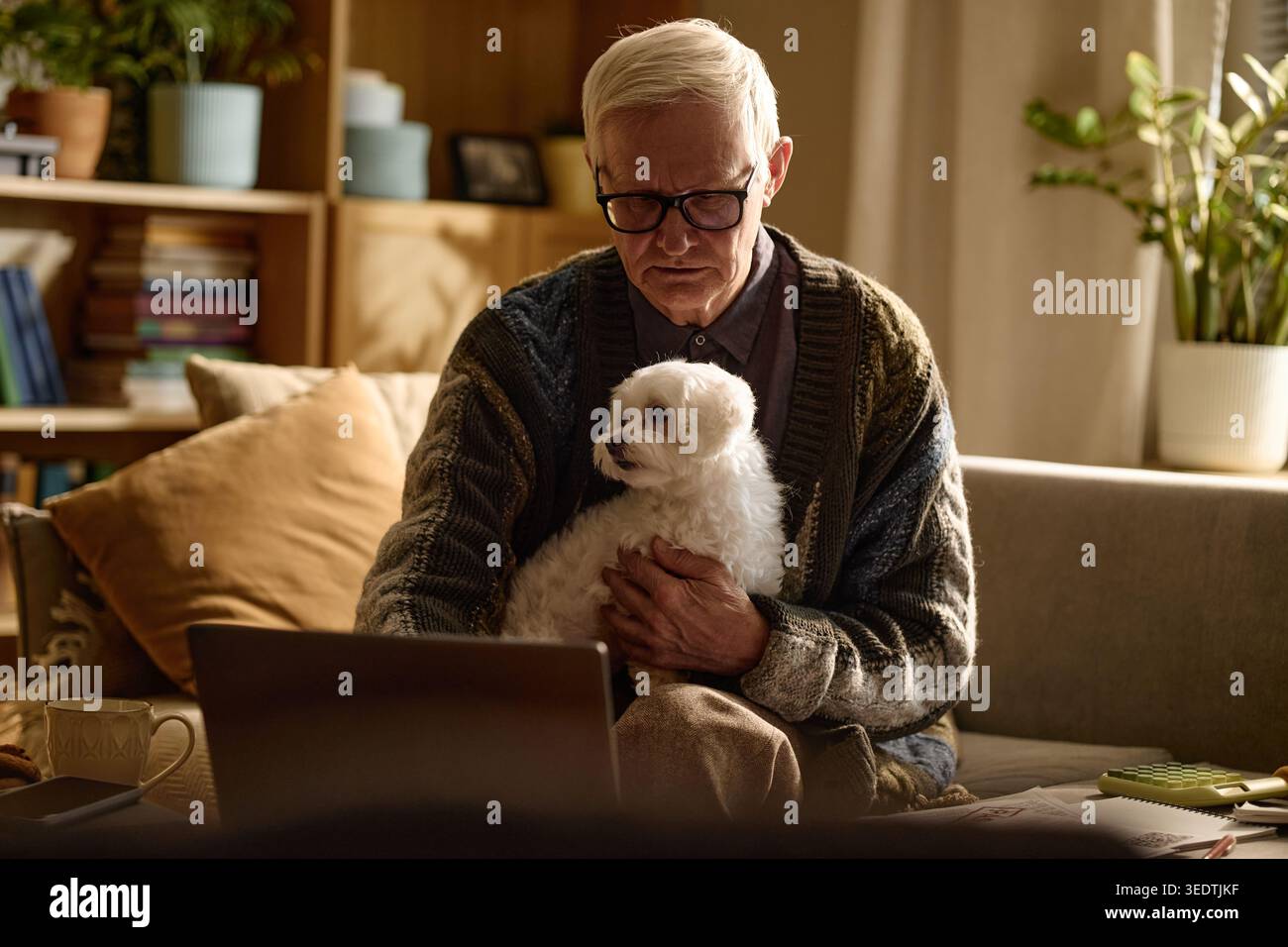 Senior Man Holding Dog While Using Laptop for Remote Communication Stock Photo