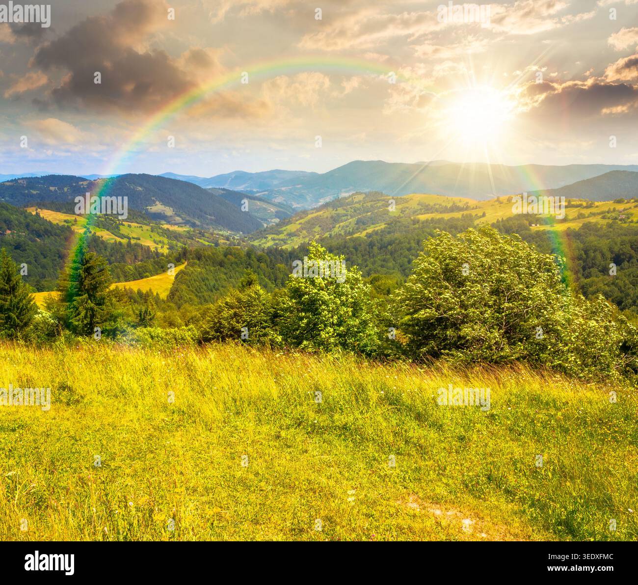 sunset over agricultural field on hillside in mountains near village. carpathian mountain landscape in summer. countryside view of alpine fields and r Stock Photo