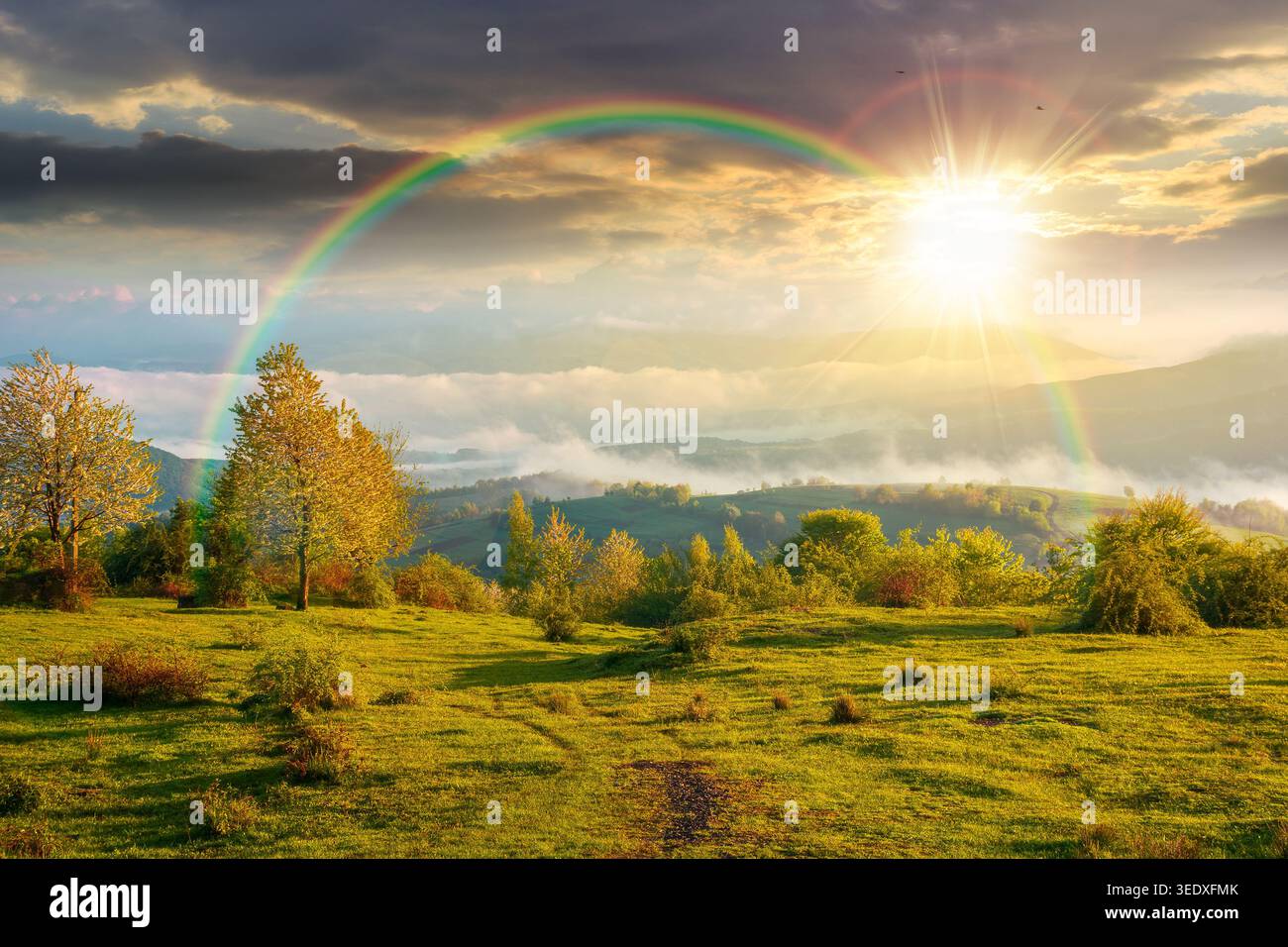 sunset over carpathian mountain landscape with fog. outdoor adventure image for stunning view of meadow. mountain field and rolling countryside valley Stock Photo