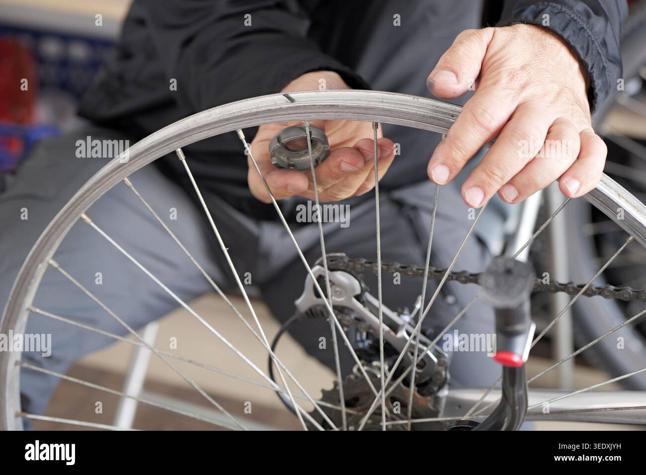 Bike mechanic checks rear wheel alignment and rim stability on upside ...