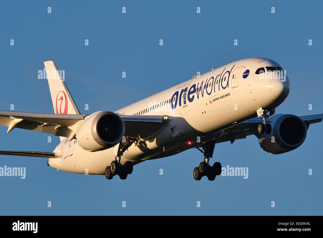 Japan airlines 787 9 hi-res stock photography and images - Alamy