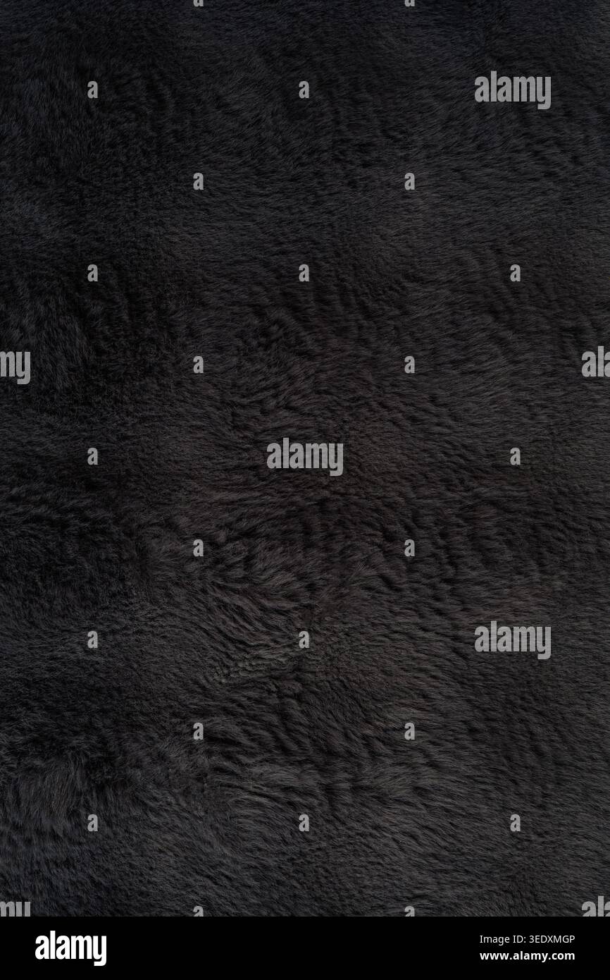 Dark Black Fur Texture Background with Soft Plush Pattern Stock Photo