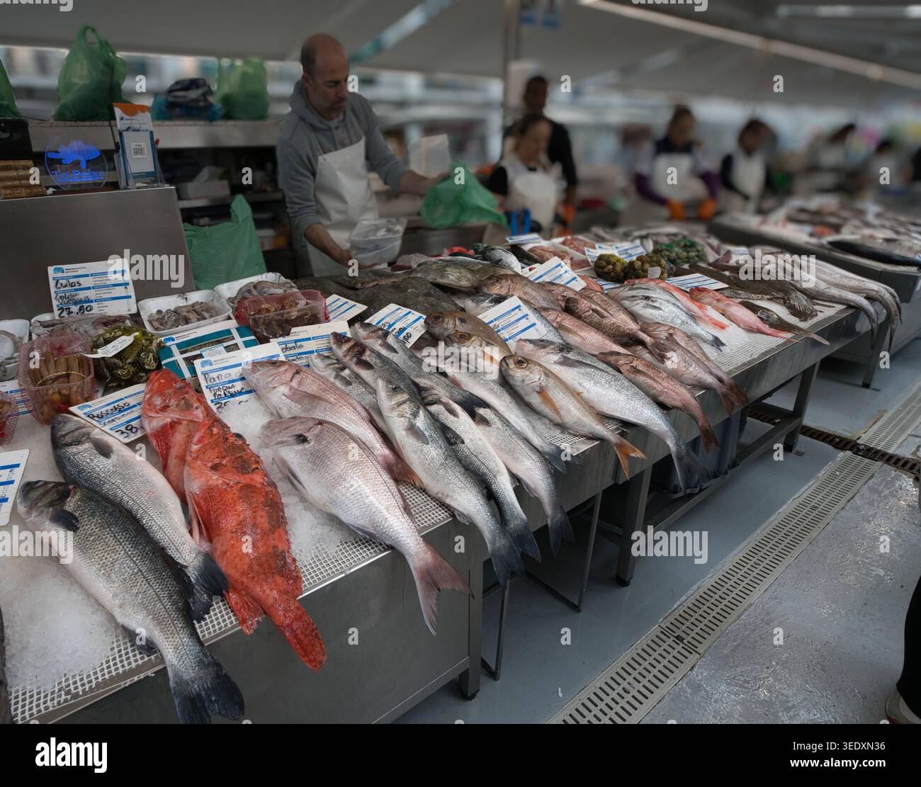 Mercado Municipal De Matosinhos Hi res Stock Photography And Images Alamy mercado-municipal-de-matosinhos-hi-res-stock-photography-and-images-alamy