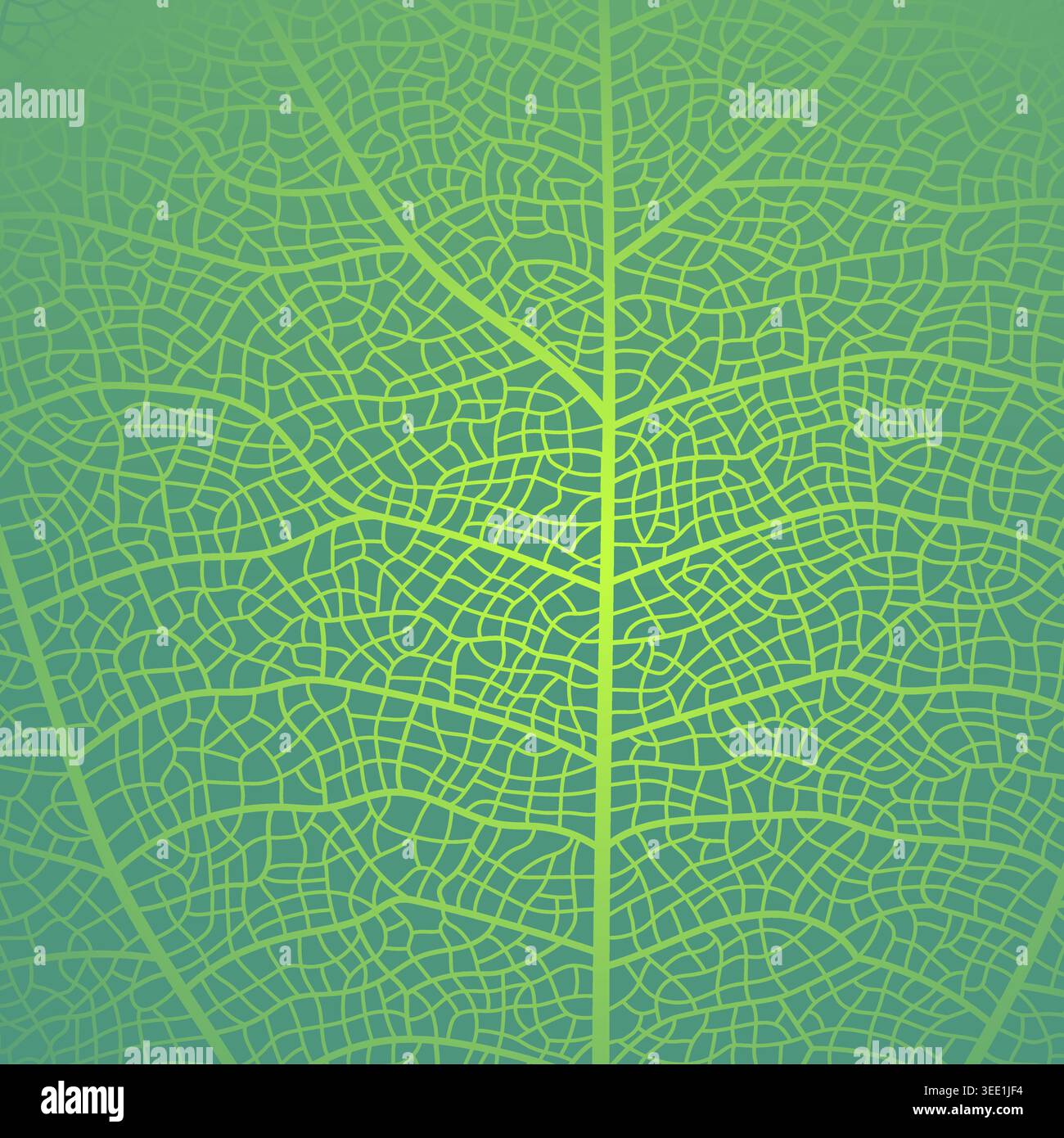 Leaf vein texture abstract background with close up plant leaf cells ornament texture pattern. Stock Vector