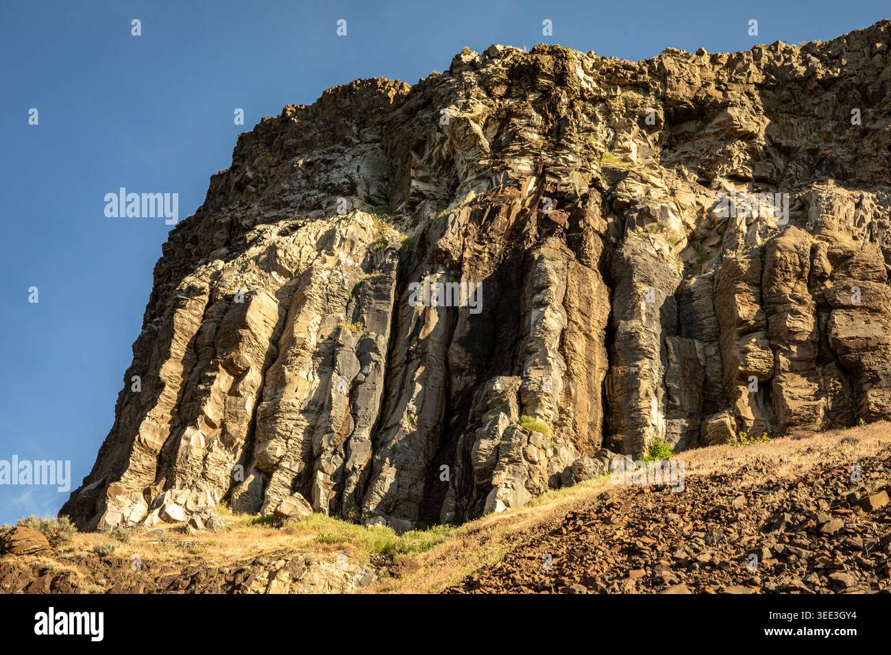 WA29129-00...WASHINGTON - Cliffs of columnar basalt passed on trail ...
