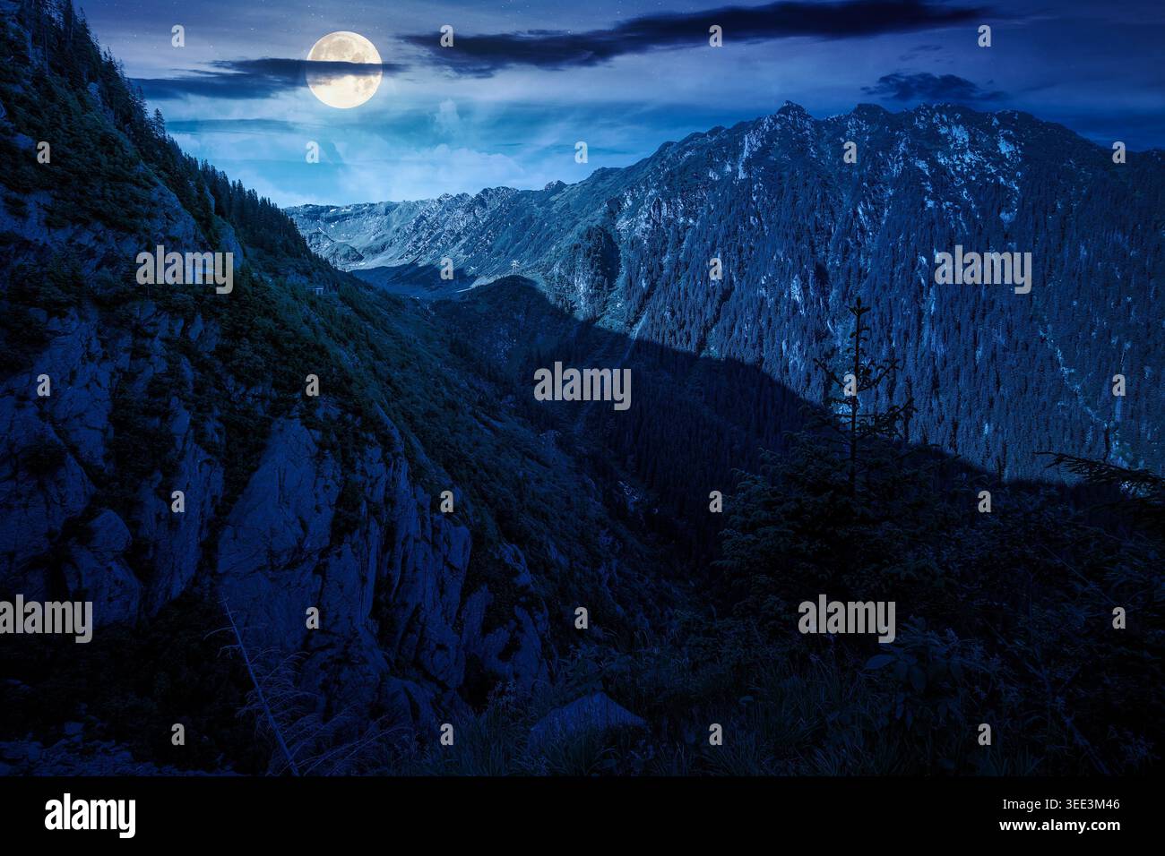Valley in summer mountains at night. Gorgeous mountainous landscape. full moon over rocky cliffs and forested slopes under dark cloudy sky. Mysterious Stock Photo