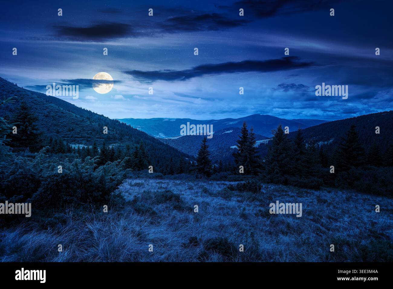 hillside of mountain range with coniferous forest and grassy meadow at night. full moon over beautiful summer landscape with alp. mysterious nature ba Stock Photo