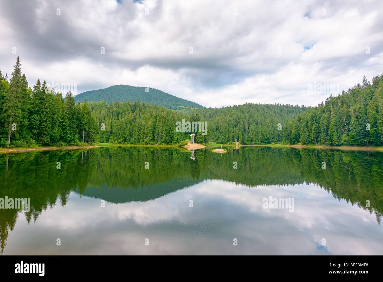 landscape by the lake on cloudy morning. coniferous forest near the lake and the forest mountain. awesome summer view of carpathian mountain reflectio Stock Photo