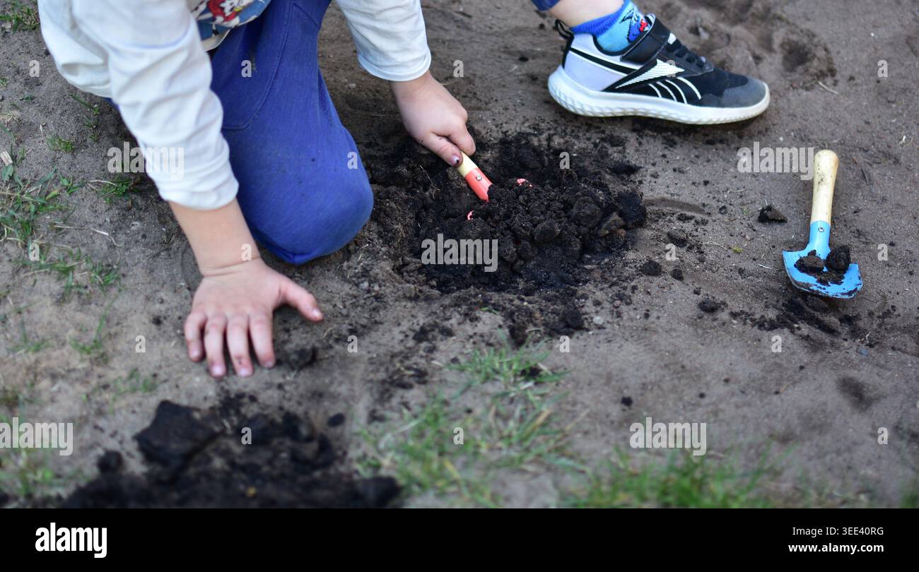 Children digging and playing with soil in sandbox playground using toy ...