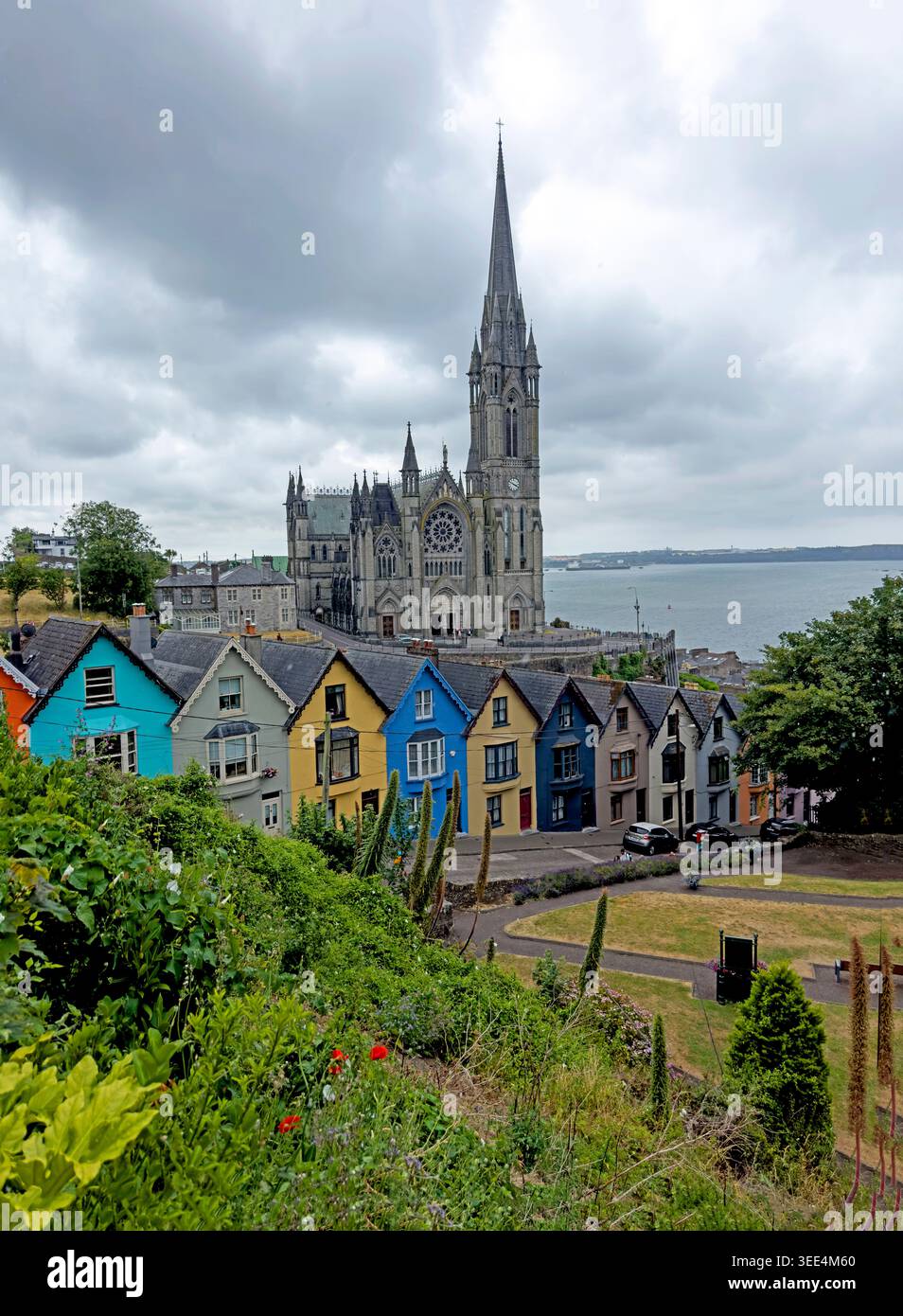 St Colman's Cathedral rises above Cobh's colourful Deck of Cards houses overlooking Cork Harbour under dramatic summer clouds. Stock Photo