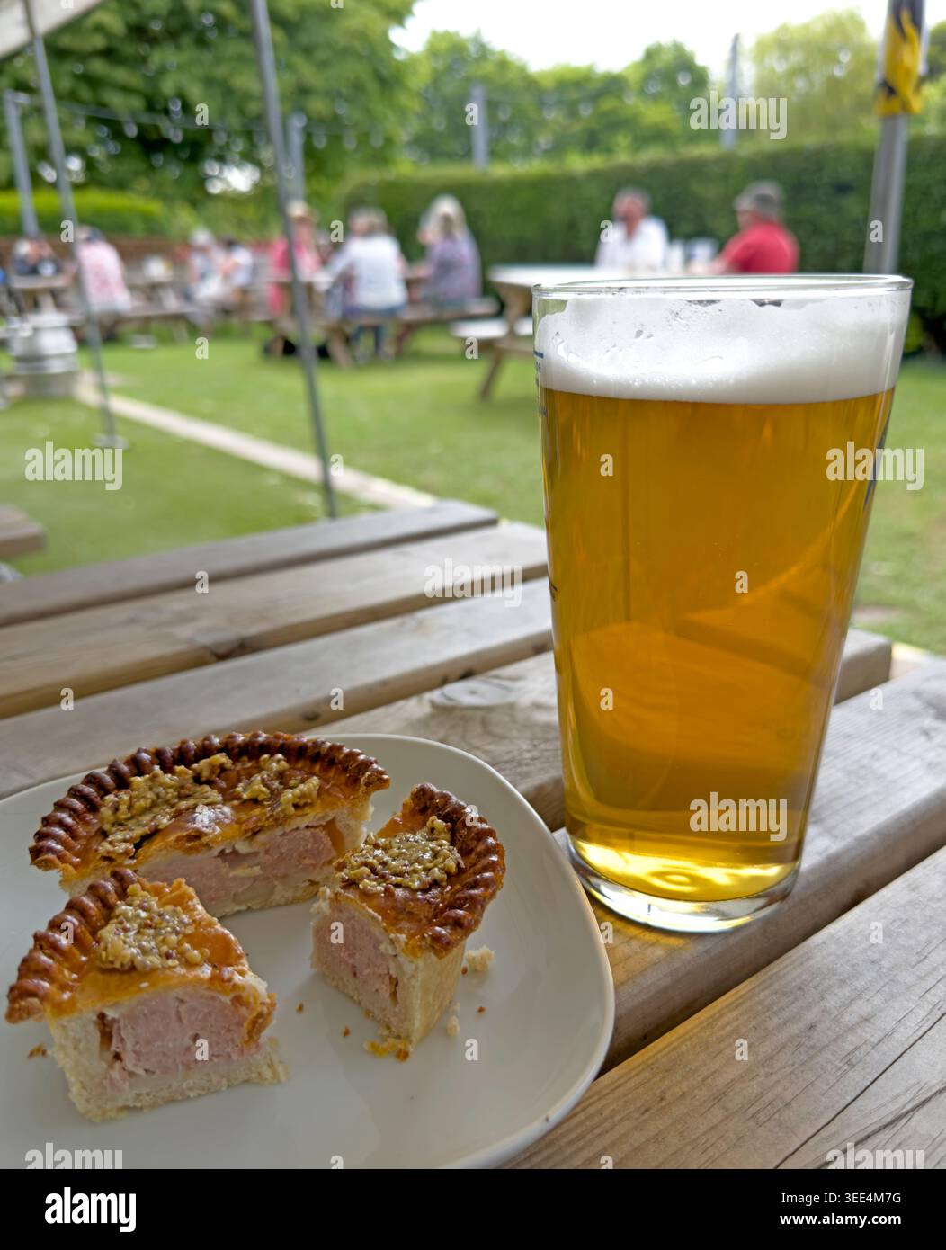 British summer beer garden, real ale and a pork pie with grainy mustard snack, England, UK. Stock Photo