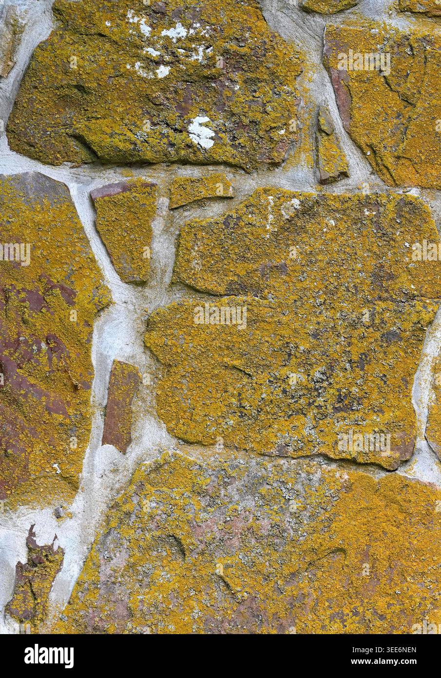 Close up of a heavily moss covered rock and mortar wall surface with porous uneven stones, wide cracked mortar joints Stock Photo
