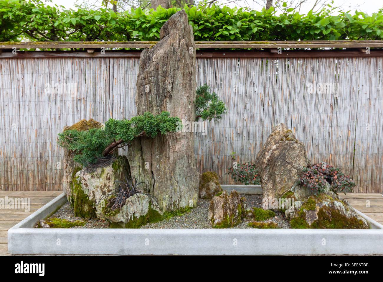 Saikei hi-res stock photography and images - Alamy