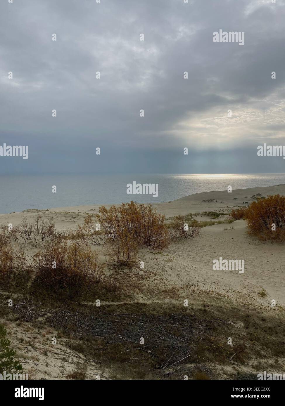 Moody coastal landscape with sand dunes, sea horizon and sun rays breaking through dramatic cloudy sky Stock Photo