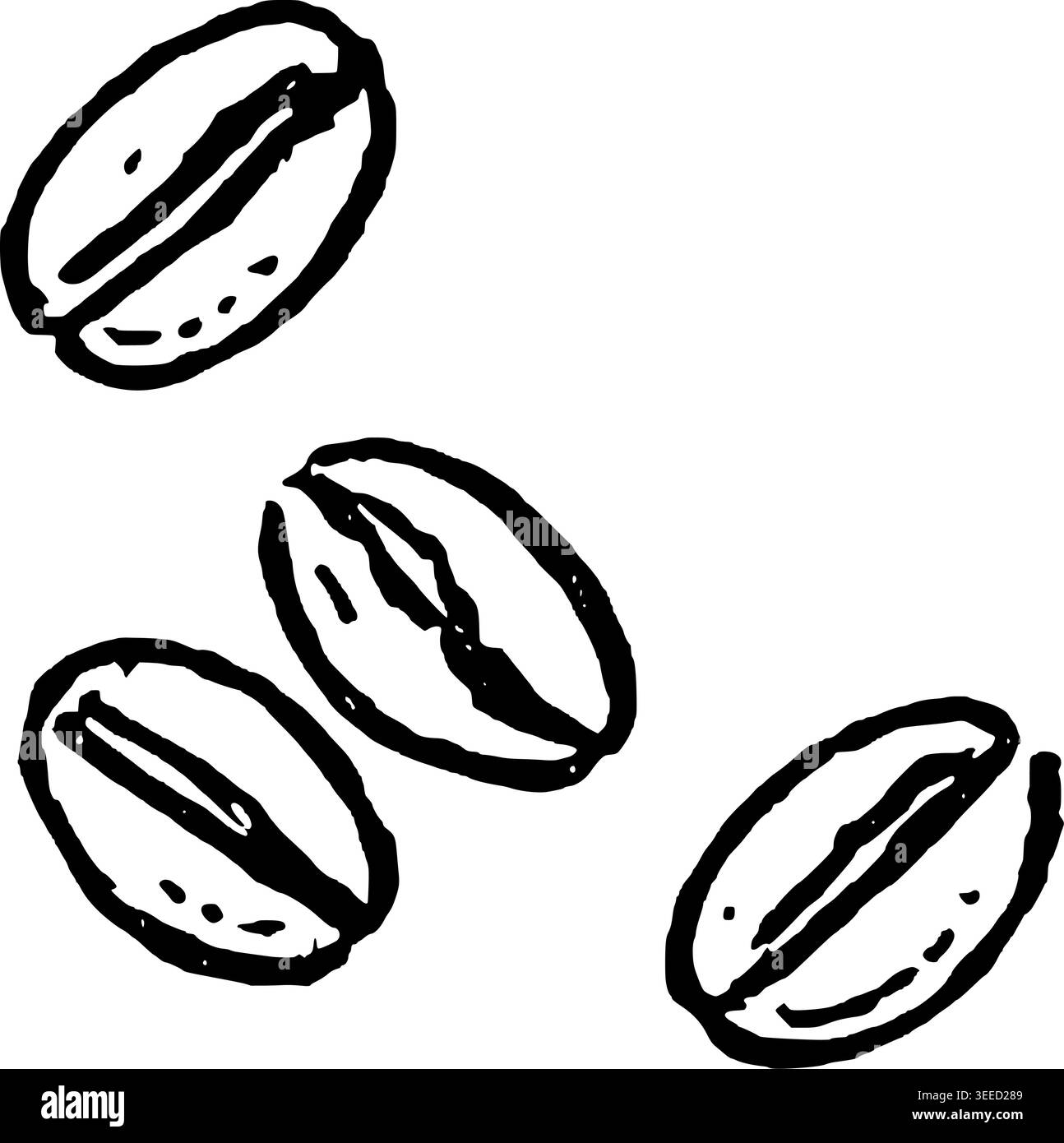 Hand Drawn Three Coffee Beans Vector Line Art Stock Vector
