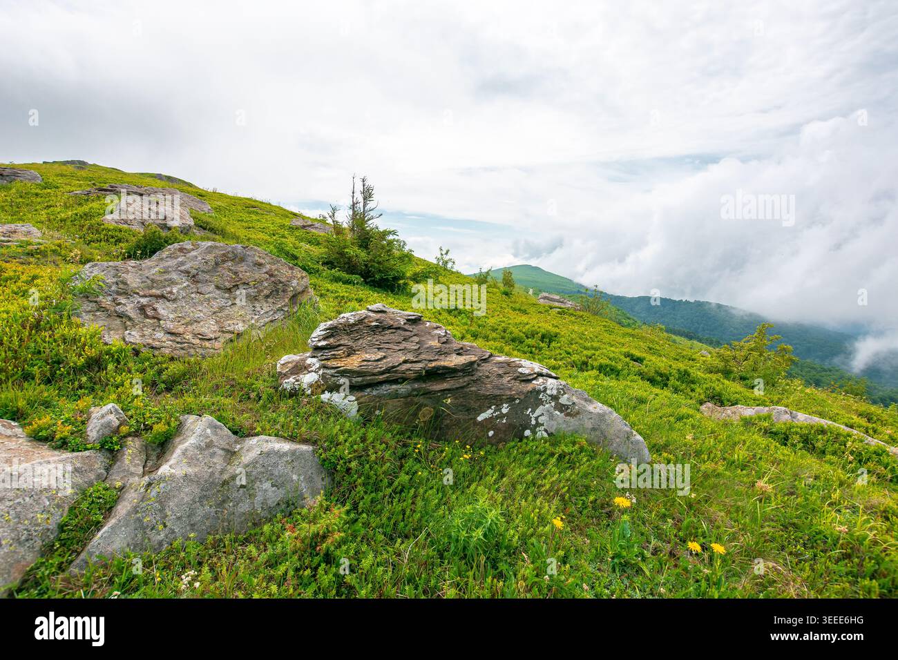 green landscape of mountain in summer. view of rock among grass on the hillside. travel background under a cloudy sky. carpathian mountain scenery wit Stock Photo