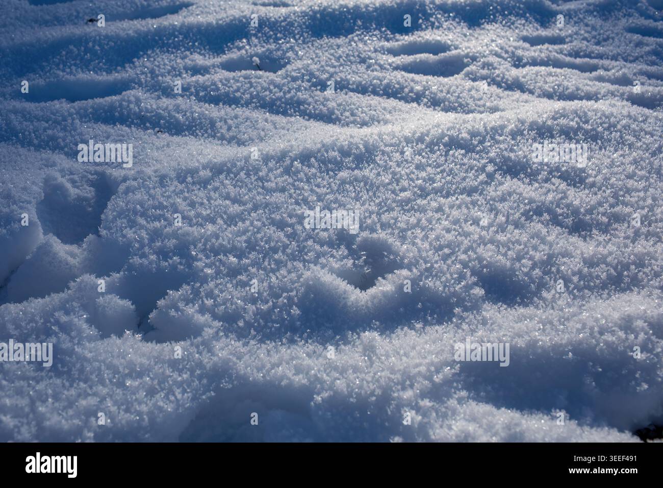 Sparkling fresh snow texture background in winter sunlight Stock Photo