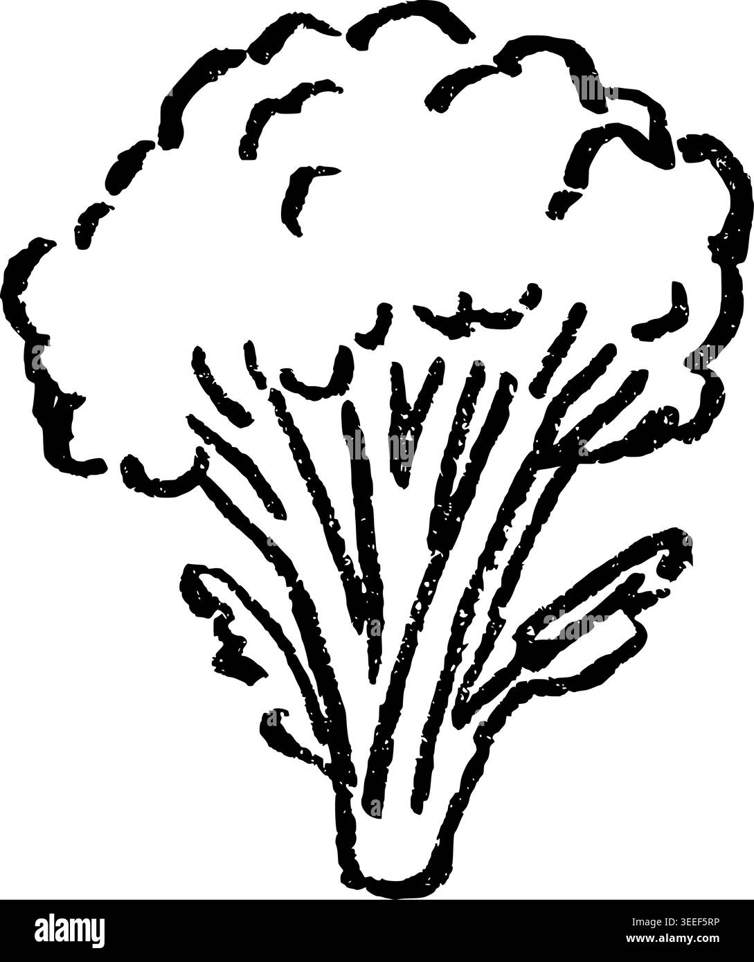 Hand Drawn Broccoli Vector Drawing Stock Vector Image & Art - Alamy