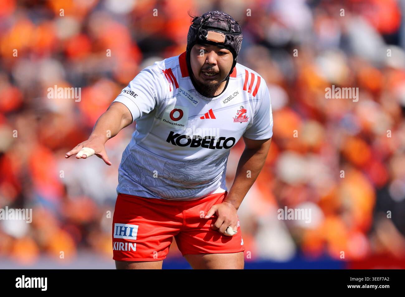 Kobe Rugless Rugby Shigure Takao (Steelers), MAY 10, 2026 - Rugby : 2025-26 Japan Rugby ...