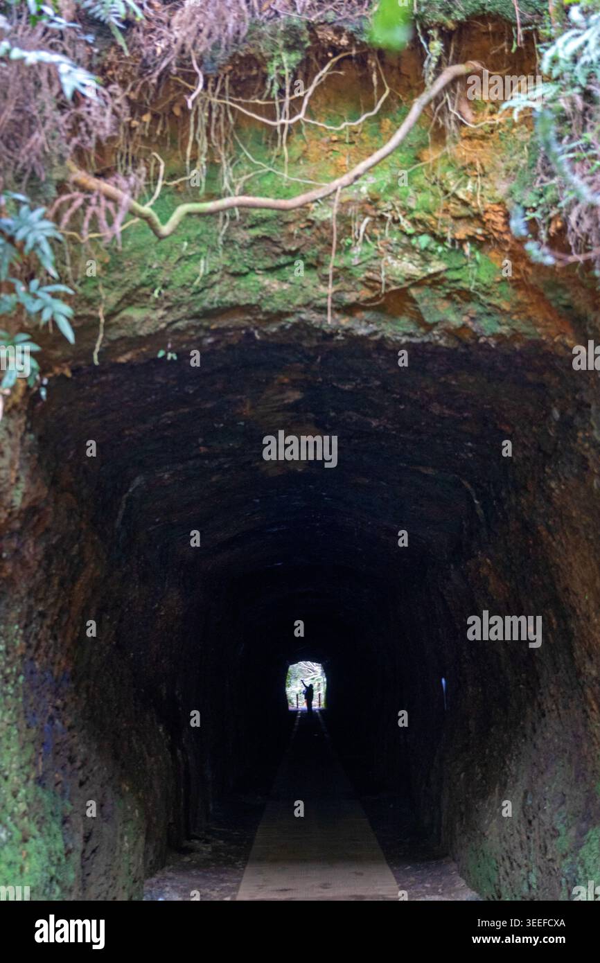 Spray Tunnel, Zeehan Stock Photo