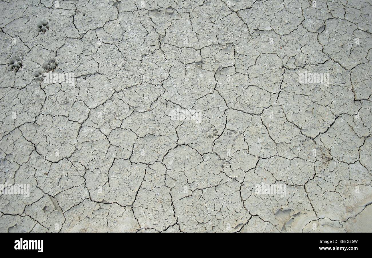 Dry cracked earth background, clay desert texture Stock Photo
