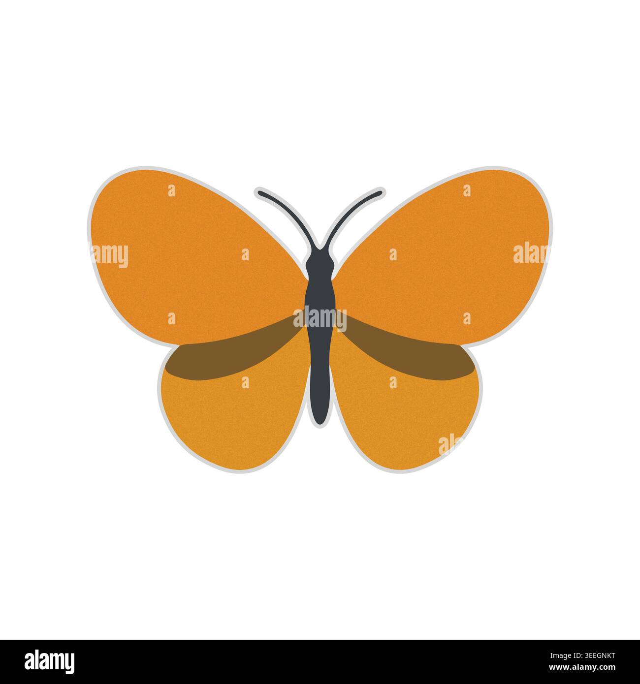 Colorful Butterfly Flat Vector Editable Insect Modern Sticker Illustration Stock Vector