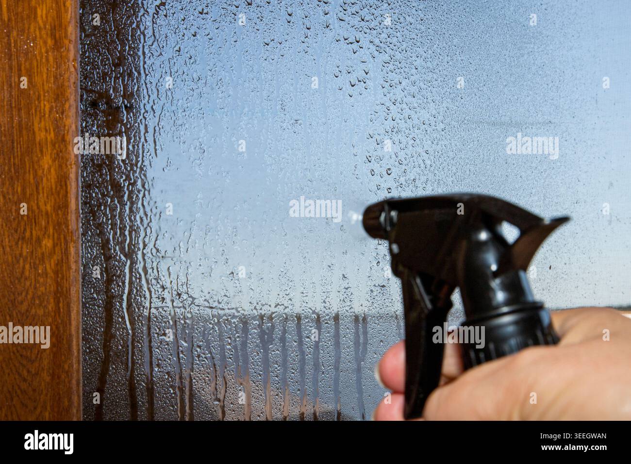Window Spray Liquid Hand spraying cleaning liquid on wet window glass with water drops ...