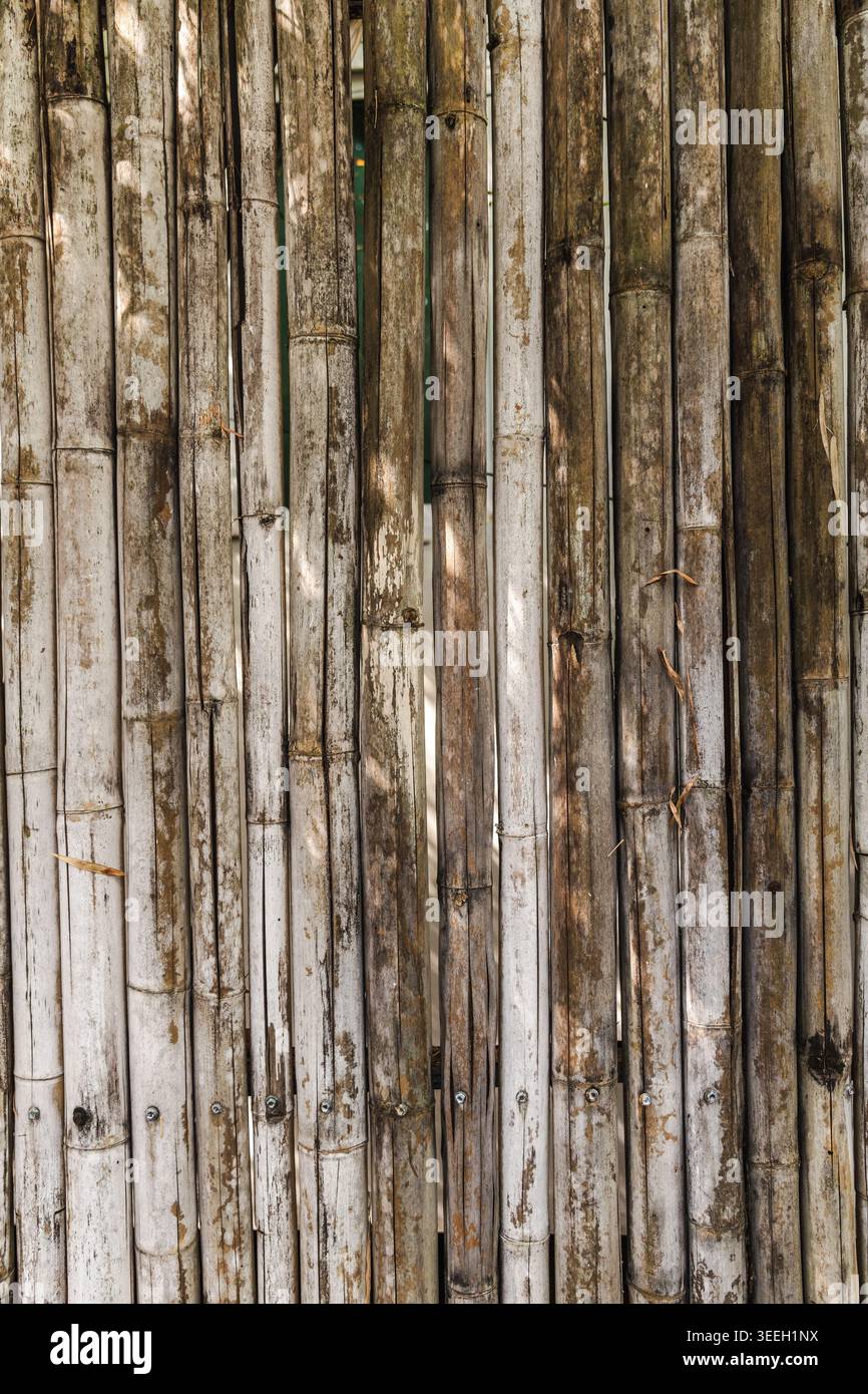 Weathered bamboo wall texture vertical natural rustic background pattern Stock Photo