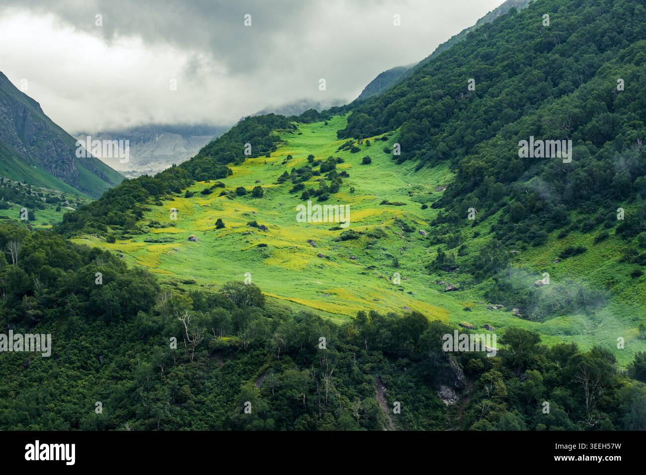 Wide view verdant landscape hi-res stock photography and images - Alamy