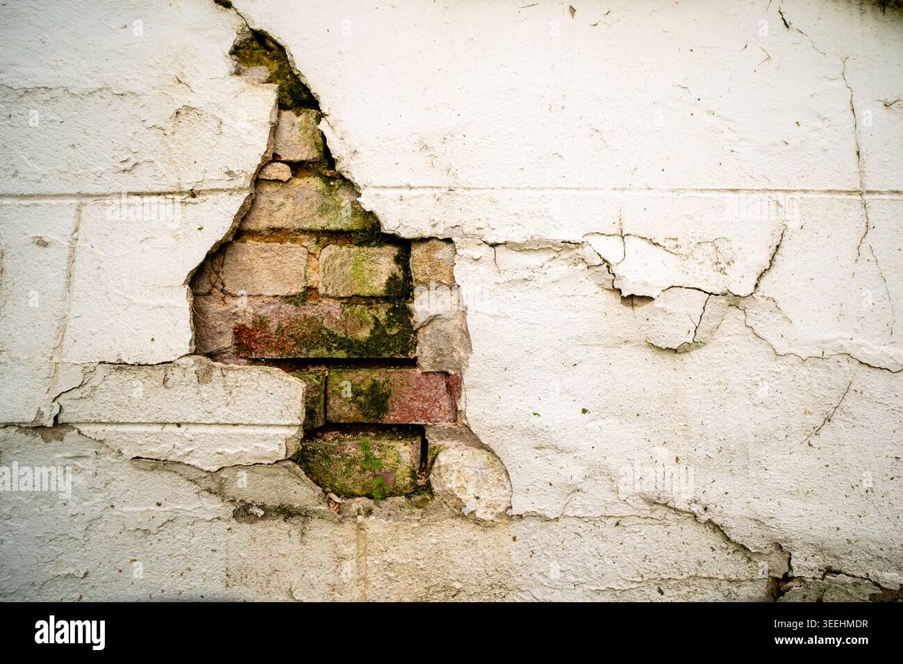 Broken stucco and worn, mossy bricks Stock Photo