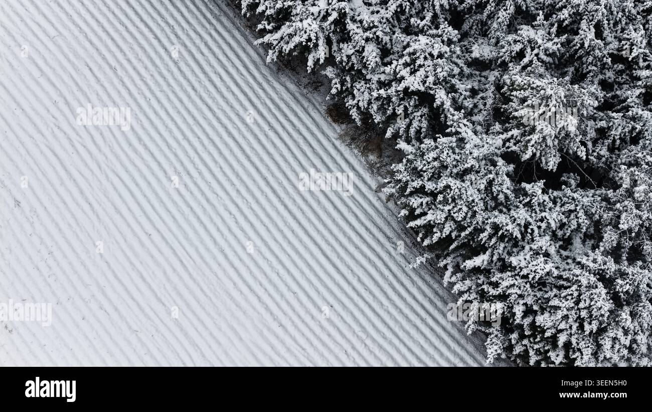 Aerial View of Snow Covered Pine Forest on a Slope Stock Photo