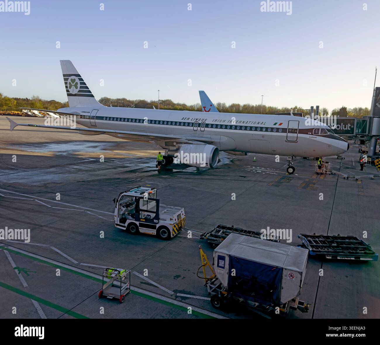 An Aer Lingus Airbus A320 branded in 1960s Irish International retro Irish livery parked on the apron at Manchester Airport, England, UK. Stock Photo